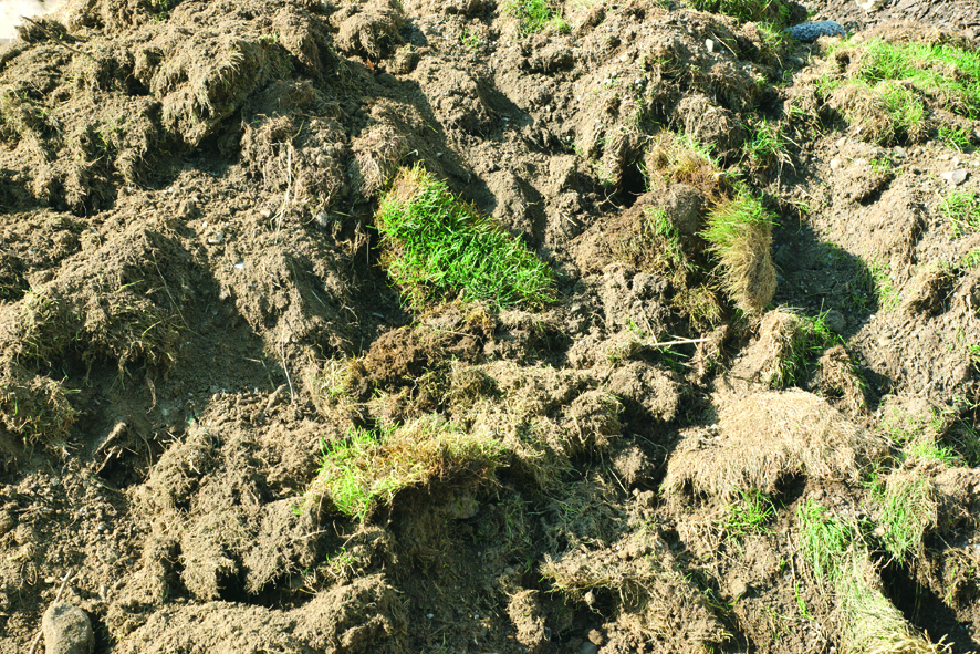 Image for choice number 7