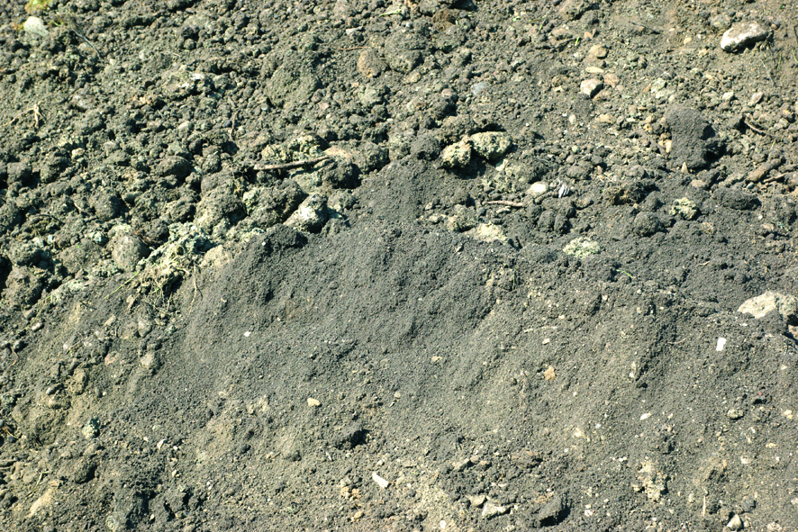 Image for choice number 6